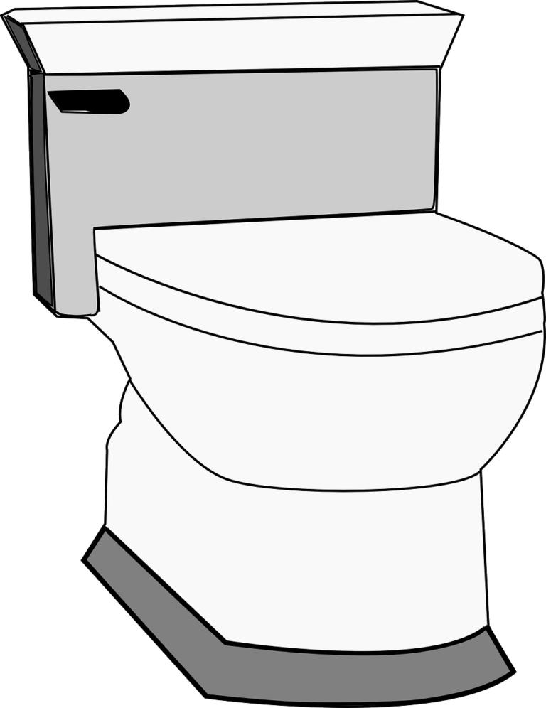 Blocked Toilet